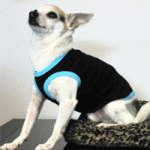 5978 American Apparel Fleece Dog Vest. Style Number: AMAM5978